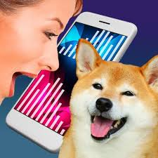 Top Dog Translators Online: Best Apps, Devices, and AI Tools for Dogs
