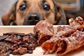 Grain-Free Organ Meat Dog Food: The Best Options for Your Pet’s Health